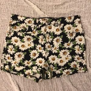 American Apparel black floral print daisy short